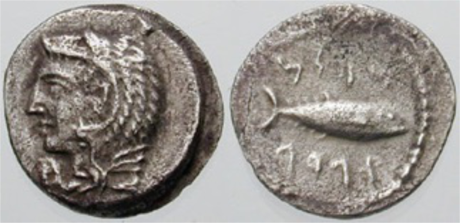 Phoenician coin found at La Casa de Postas, Conil 